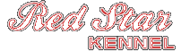 Polished Logo