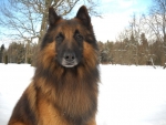 Bruce e. Bruno 3